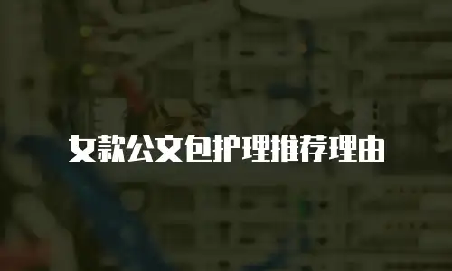 女款公文包护理推荐理由