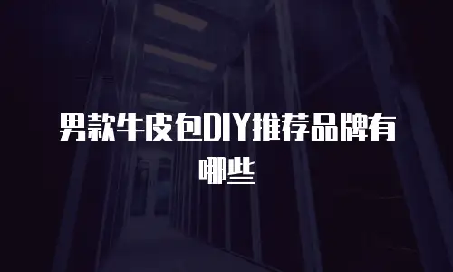 男款牛皮包DIY推荐品牌有哪些