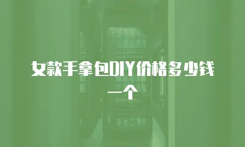 女款手拿包DIY价格多少钱一个