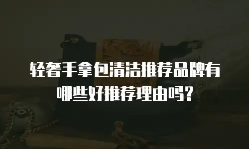 轻奢手拿包清洁推荐品牌有哪些好推荐理由吗？