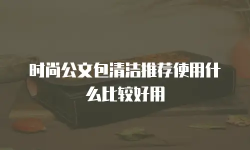 时尚公文包清洁推荐使用什么比较好用