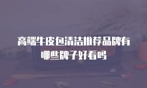 高端牛皮包清洁推荐品牌有哪些牌子好看吗