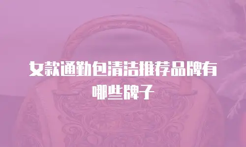 女款通勤包清洁推荐品牌有哪些牌子