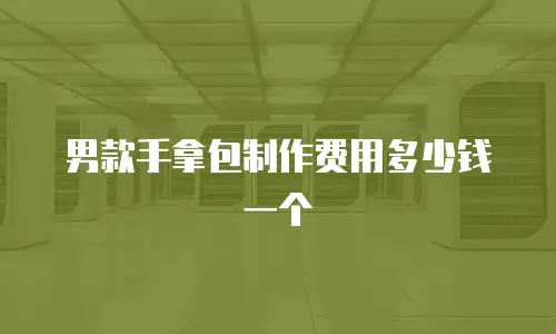 男款手拿包制作费用多少钱一个
