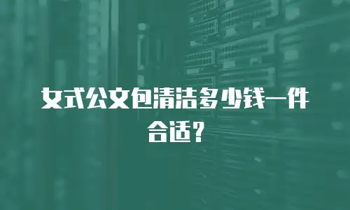 女式公文包清洁多少钱一件合适？