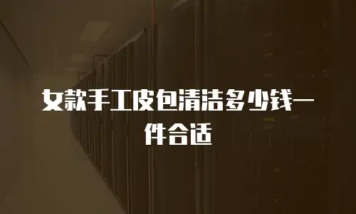 女款手工皮包清洁多少钱一件合适