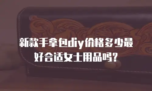 新款手拿包diy价格多少最好合适女士用品吗？
