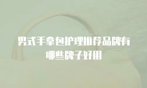 男式手拿包护理推荐品牌有哪些牌子好用