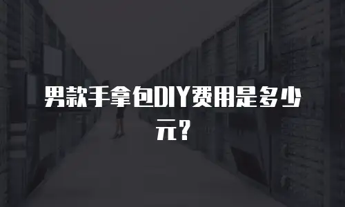 男款手拿包DIY费用是多少元？