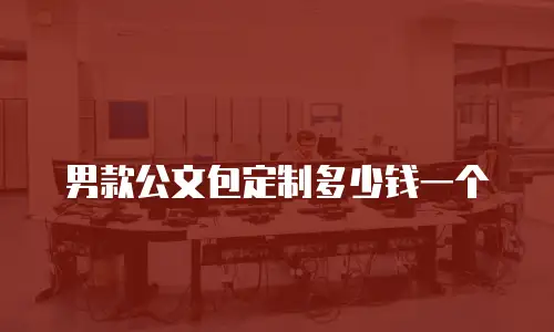 男款公文包定制多少钱一个