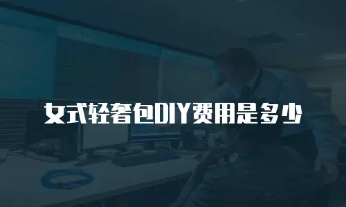 女式轻奢包DIY费用是多少