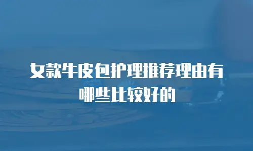 女款牛皮包护理推荐理由有哪些比较好的