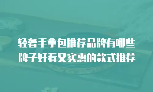 轻奢手拿包推荐品牌有哪些牌子好看又实惠的款式推荐