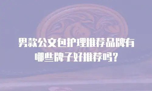 男款公文包护理推荐品牌有哪些牌子好推荐吗？