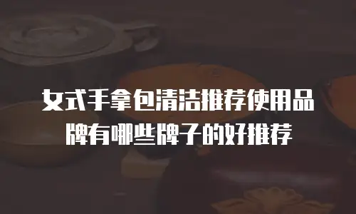 女式手拿包清洁推荐使用品牌有哪些牌子的好推荐
