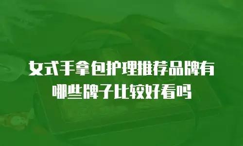 女式手拿包护理推荐品牌有哪些牌子比较好看吗