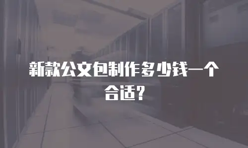新款公文包制作多少钱一个合适？
