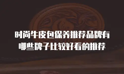 时尚牛皮包保养推荐品牌有哪些牌子比较好看的推荐