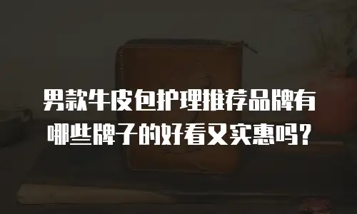 男款牛皮包护理推荐品牌有哪些牌子的好看又实惠吗？
