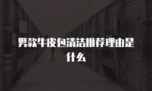 男款牛皮包清洁推荐理由是什么