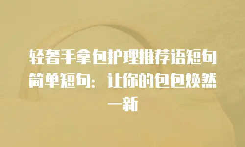 轻奢手拿包护理推荐语短句简单短句：让你的包包焕然一新