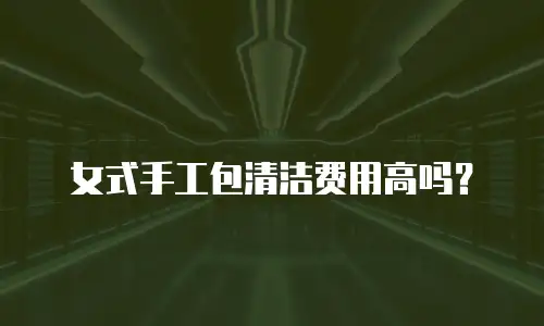 女式手工包清洁费用高吗？