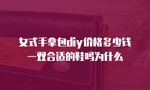 女式手拿包diy价格多少钱一双合适的鞋吗为什么