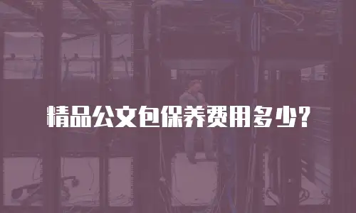 精品公文包保养费用多少？