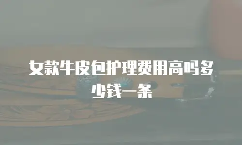 女款牛皮包护理费用高吗多少钱一条