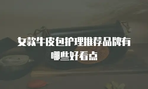 女款牛皮包护理推荐品牌有哪些好看点