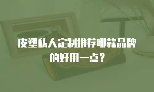 皮塑私人定制推荐哪款品牌的好用一点？