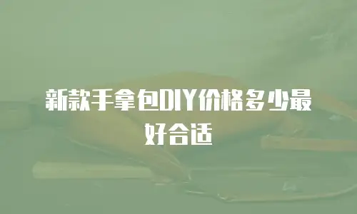 新款手拿包DIY价格多少最好合适