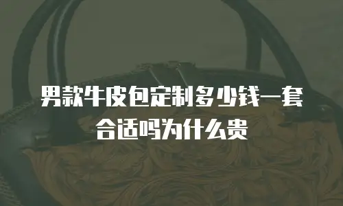 男款牛皮包定制多少钱一套合适吗为什么贵