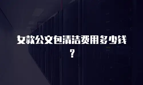 女款公文包清洁费用多少钱？