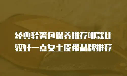 经典轻奢包保养推荐哪款比较好一点女士皮带品牌推荐