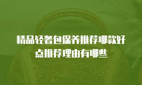 精品轻奢包保养推荐哪款好点推荐理由有哪些