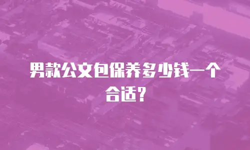 男款公文包保养多少钱一个合适？