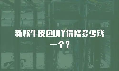 新款牛皮包DIY价格多少钱一个？