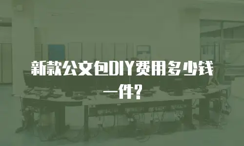 新款公文包DIY费用多少钱一件?