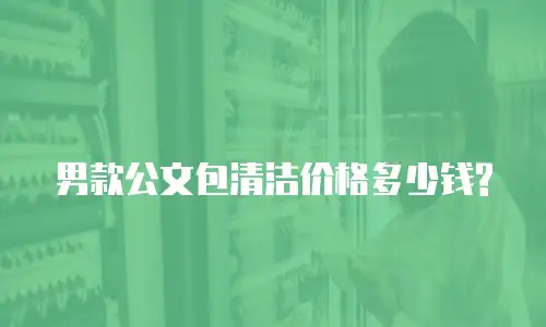 男款公文包清洁价格多少钱?