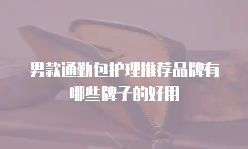 男款通勤包护理推荐品牌有哪些牌子的好用