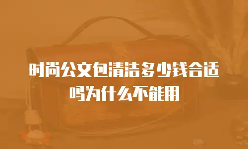 时尚公文包清洁多少钱合适吗为什么不能用