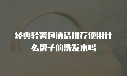 经典轻奢包清洁推荐使用什么牌子的洗发水吗