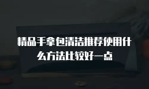 精品手拿包清洁推荐使用什么方法比较好一点