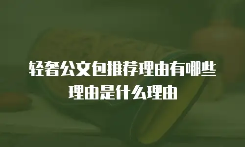 轻奢公文包推荐理由有哪些理由是什么理由