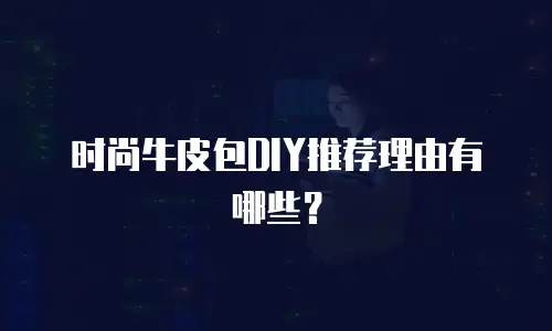 时尚牛皮包DIY推荐理由有哪些？