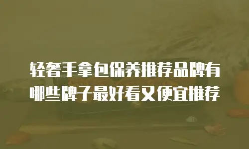 轻奢手拿包保养推荐品牌有哪些牌子最好看又便宜推荐