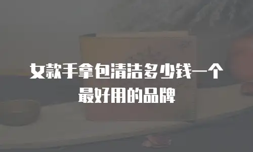 女款手拿包清洁多少钱一个最好用的品牌