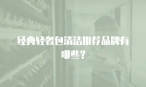 经典轻奢包清洁推荐品牌有哪些？