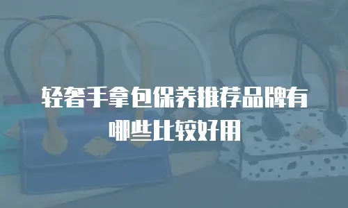 轻奢手拿包保养推荐品牌有哪些比较好用